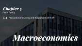 thumbnail of medium Macroeconomics: Chapter 5.4 Precautionary saving and the paradox of thrift